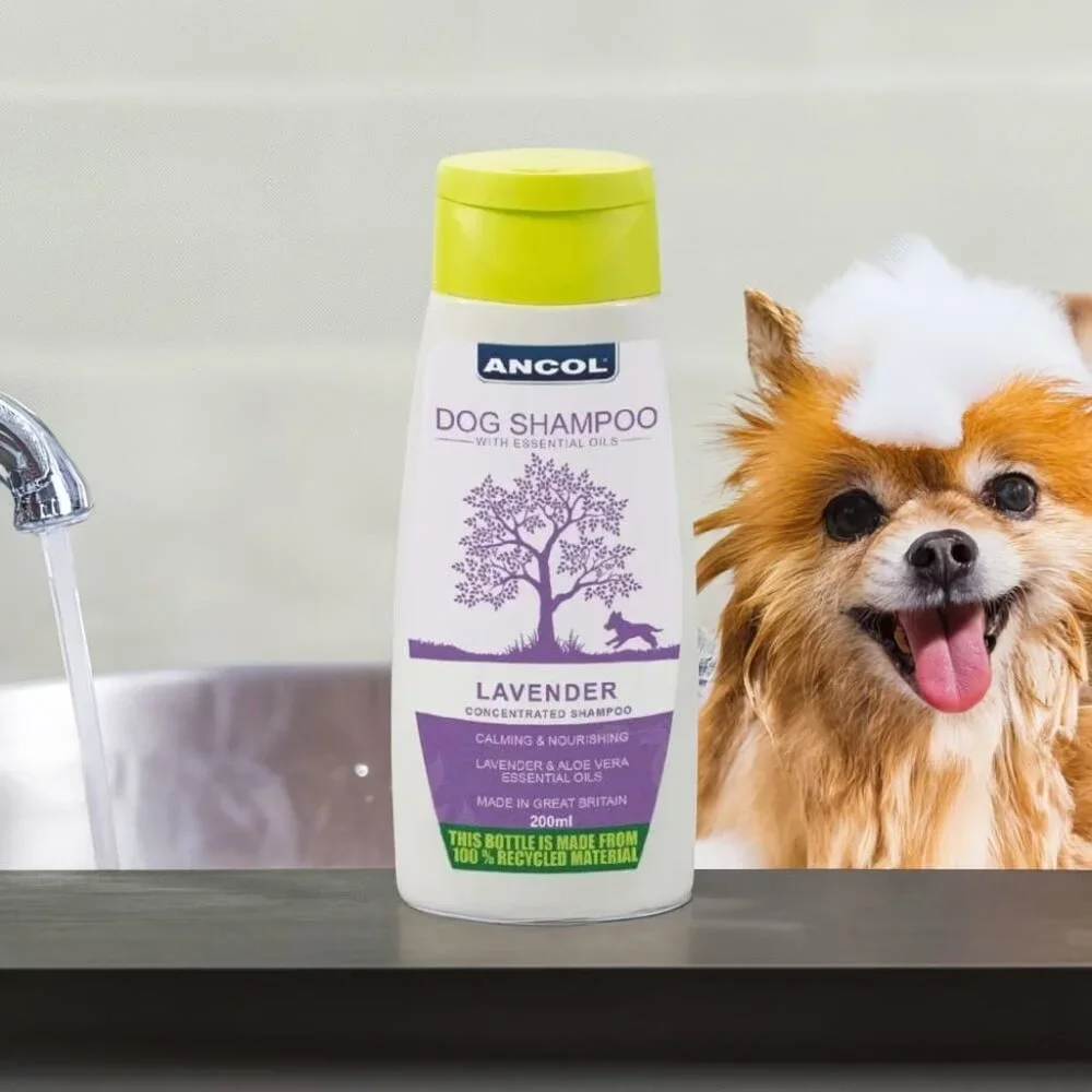 Premium Lavender Dog Shampoo | Aloe & Essential Oils | Puppy Safe, European-Made